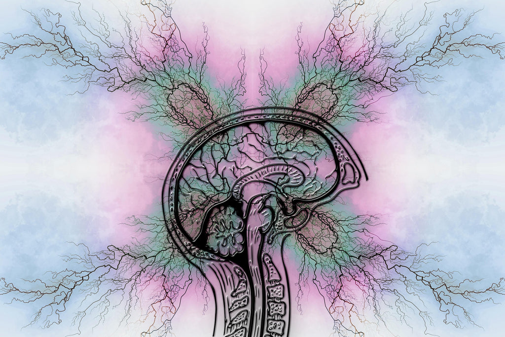 ADHD-Friendly Productivity System